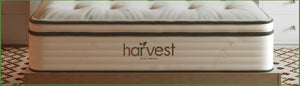 Harvest Mattresses & Toppers