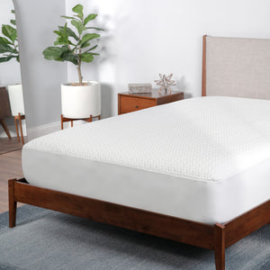 BEDGEAR Dri-Tec Mattress Protector