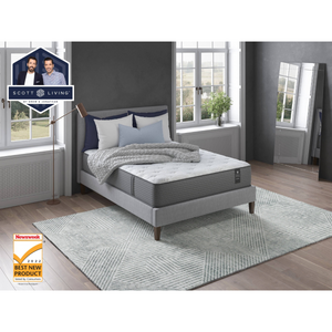 FLOOR MODEL - American Mattress Larkspur Plush 13" Mattress