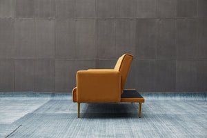 Comfort Compact Design Sofa Bed
