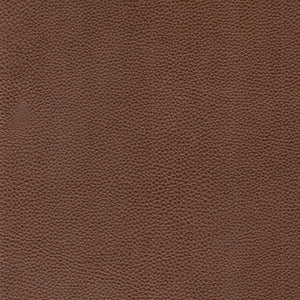 Modern & Contemporary Leather Sofa