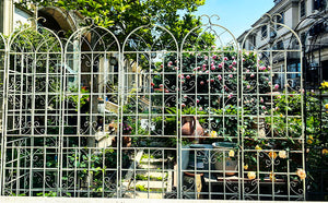 Metal Garden Rustproof Trellis For Climbing Plants Outdoor Flower Support