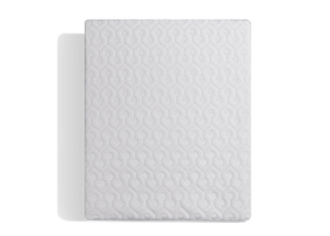 BEDGEAR Dri-Tec Mattress Protector