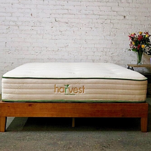 Harvest Green Original 11" Natural Latex Mattress