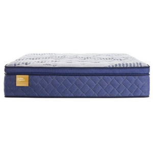 Floor Model - Sealy Banstead Plush Euro Top 14" Mattress
