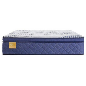 Sealy Banstead Plush Euro Top 14" Mattress