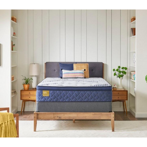 Floor Model - Sealy Banstead Plush Euro Top 14" Mattress