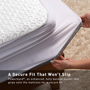 BEDGEAR  Ver-Tex Mattress Protector