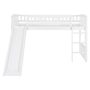 Loft Bed With Slide And Ladder