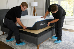 TEMPUR_Ergo 2.0 Adjustable Foundation Adjustable Base Tempur-Pedic 